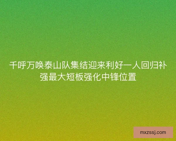 千呼万唤泰山队集结迎来利好一人回归补强最大短板强化中锋位置